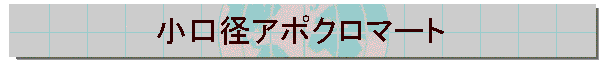 �����a�A�|�N���}�[�g