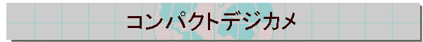 �R���p�N�g�f�W�J��