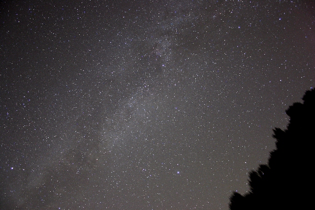 100_0050c.jpg (236938 バイト)