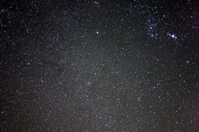 100_0065c.jpg (324101 バイト)