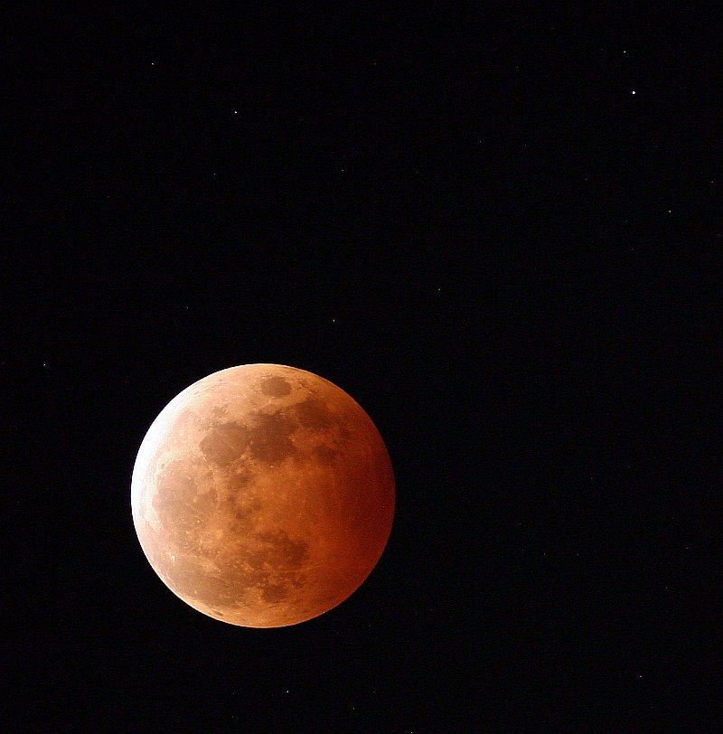 CRW_5196s.jpg (72638 oCg)