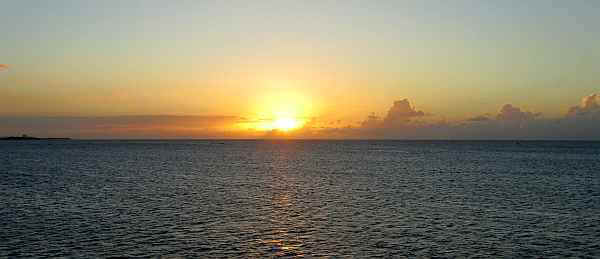 IMG_2499s.jpg (28922 バイト)