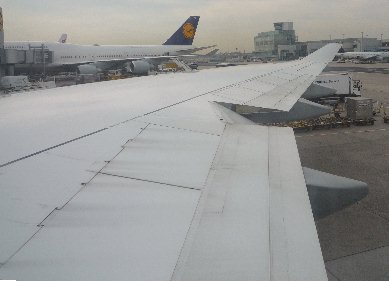 P1000805s.jpg (18827 バイト)