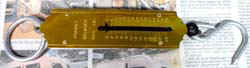 PICT0039s.jpg (21292 バイト)