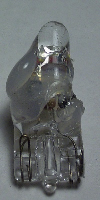 Rimg1790s.jpg (39245 バイト)